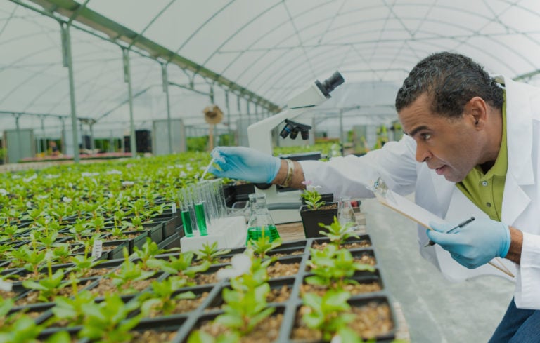 plant research scientist jobs