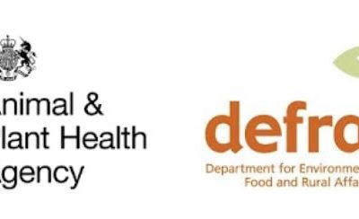 Defra Imports & Exports – newsletter update & transition period