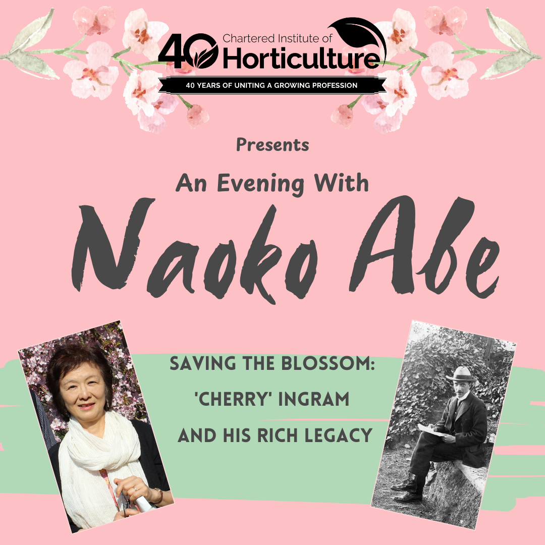 Northern Branch Event: Naoke Abe - Saving the blossom: 'Cherry' Ingram and his rich legacy