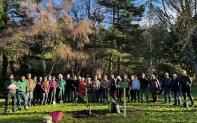 Celebrating 40 years of professional horticulture with tree planting at Thorp Perrow Arboretum